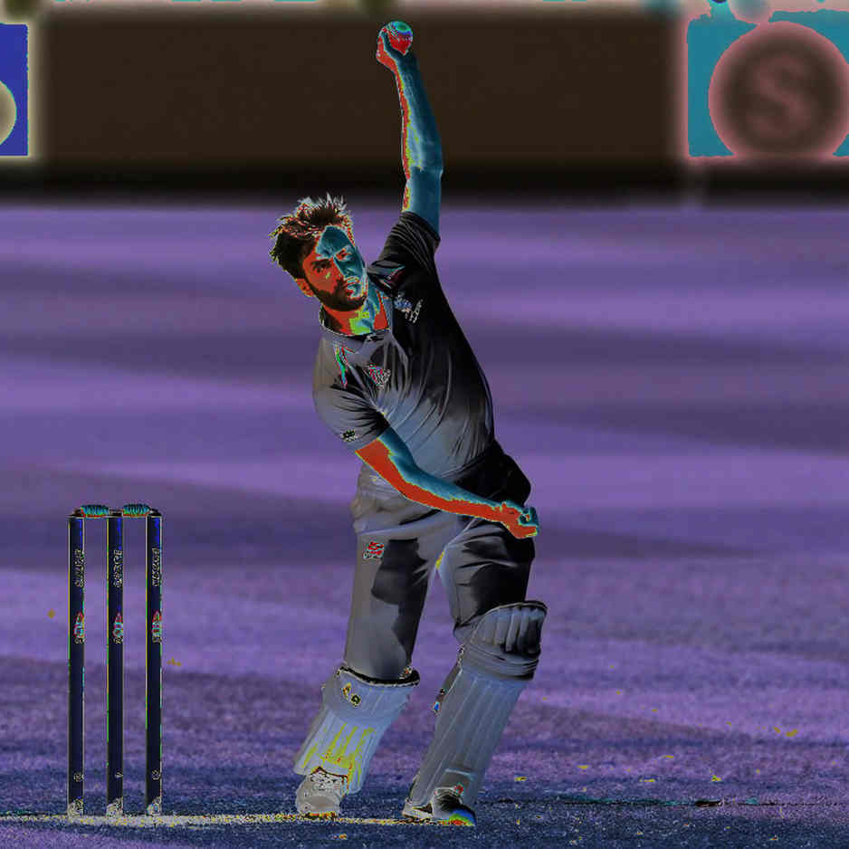 Auction Price, Field Price: A Ledger of Wrong Numbers in Asia's Cricket Market Auction Price, Field Price: A Ledger of Wrong Numbers in Asia's Cricket Market