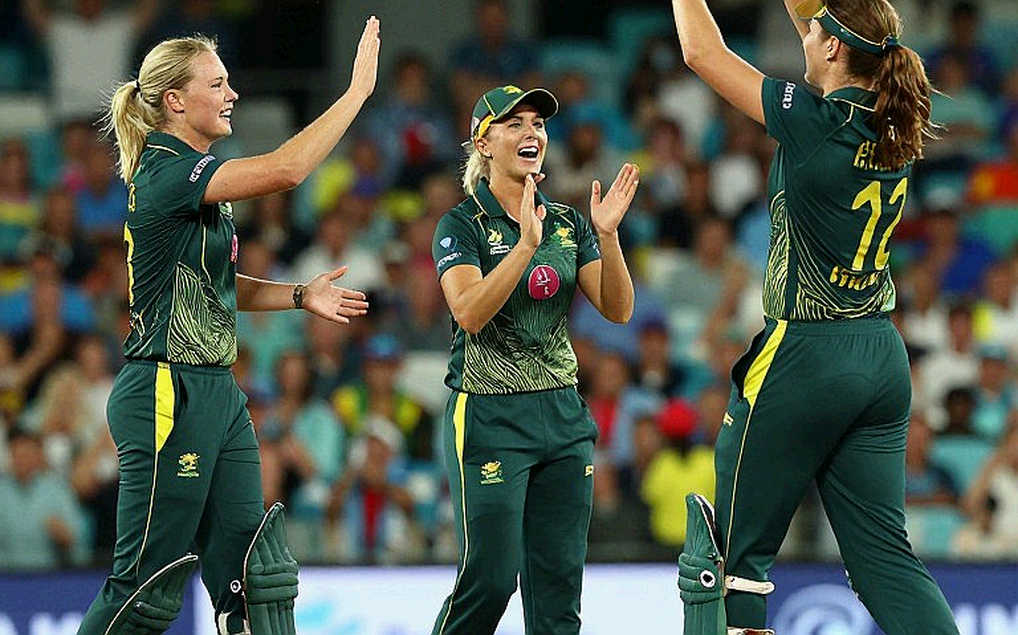 The Lesson of an Empty Column: When the Cricket Data Desk Falls Silent