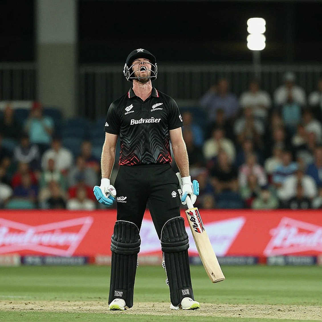 In the Shadow of Umpire's Call: The Captain's Mind Hidden in the DRS Ledger