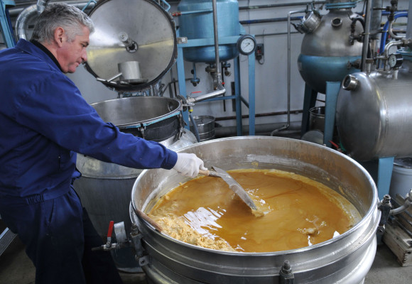 Familias olfativas , Que es ?